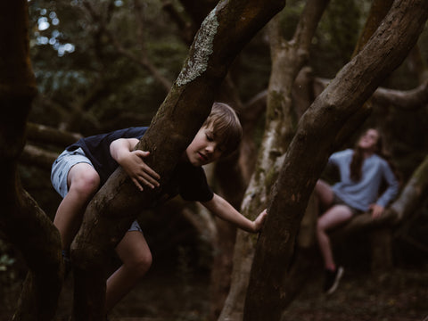 children climbing trees by Annie Spratt on Unsplash