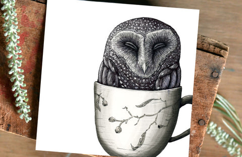owl illustration by Renee Treml, Surf Coast Arts Trail, illustrator artist