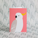 Greeting Card Set - Native Australian Birds 12 Pack