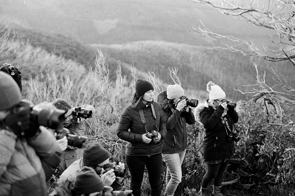A group of photographers in Will & Bear Beanies gather around to capture the same subject
