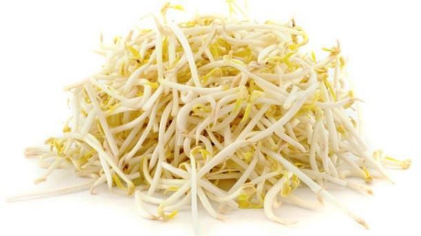 bean sprouts supermarket dubai fresh