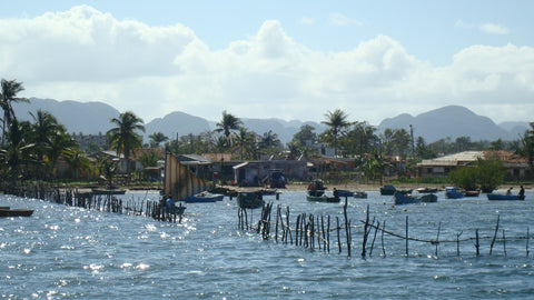 Puorto Esperanza fishing boats