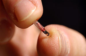 microchip the size of a grain of rice