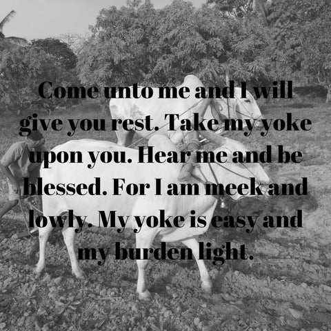 my yoke is easy and my burden is light