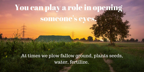 plow fallow ground 