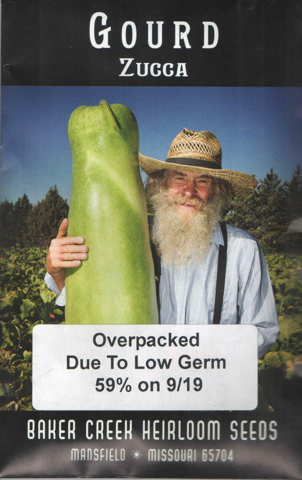 gourd seeds for growing your own gourds - welburn gourd farm