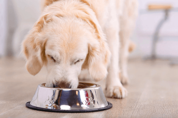 best food toppers for puppies