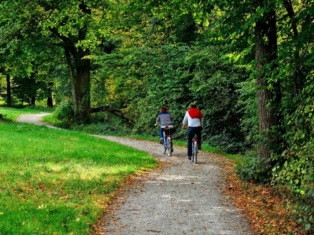 2 cyclists riding through forest trail
