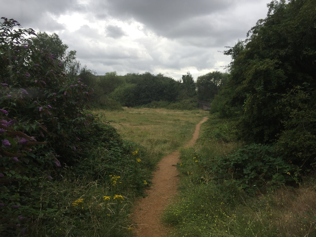 the Wandle Trail meadow nature park