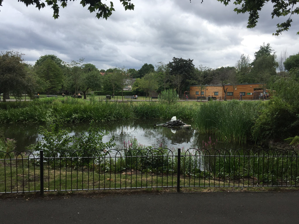 the Wandle Trail king george's park