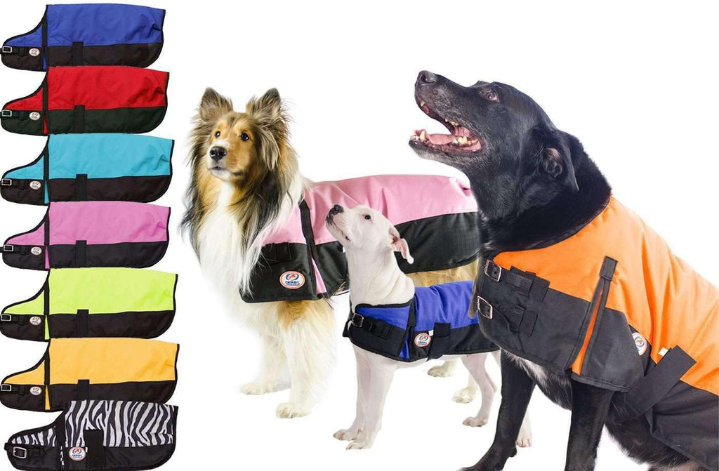 Derby 600D Waterproof Insulated Dog 