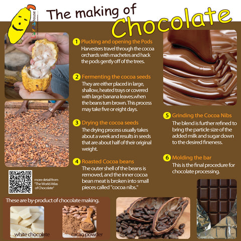 how to make chocolate ช็อคโกแลตทำมาจากอะไร โกโก้ทำมาจากอะไร