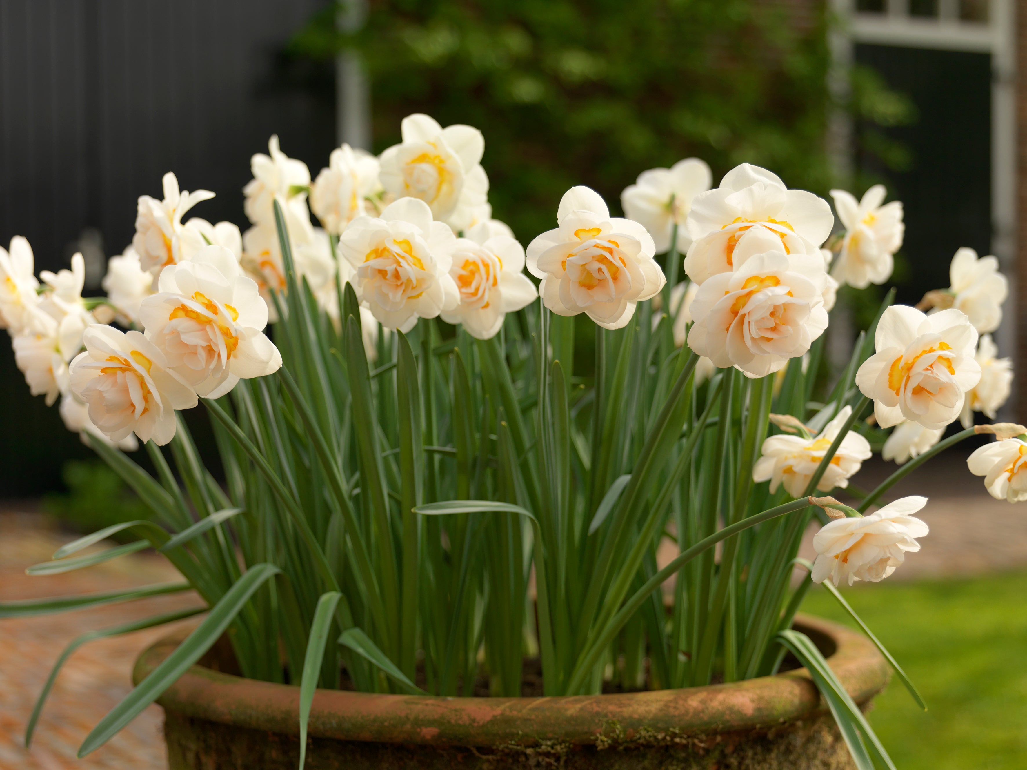 Planting a cutting garden