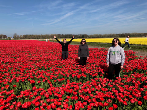 Winner trip to Holland