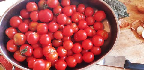 Saving Tomato Seeds