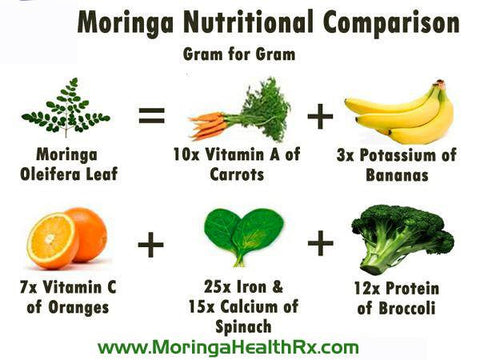 moringa benefits protein