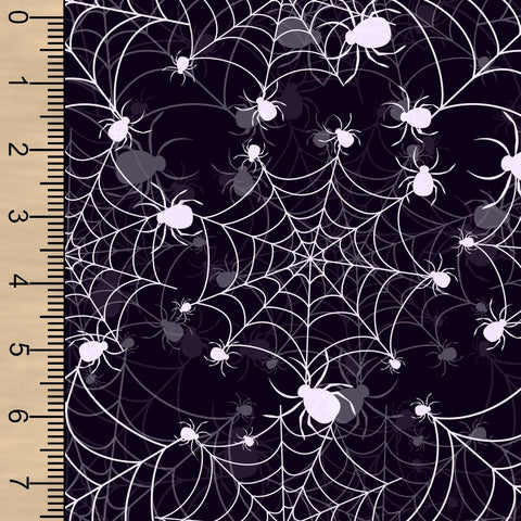 Webs & Spiders FT