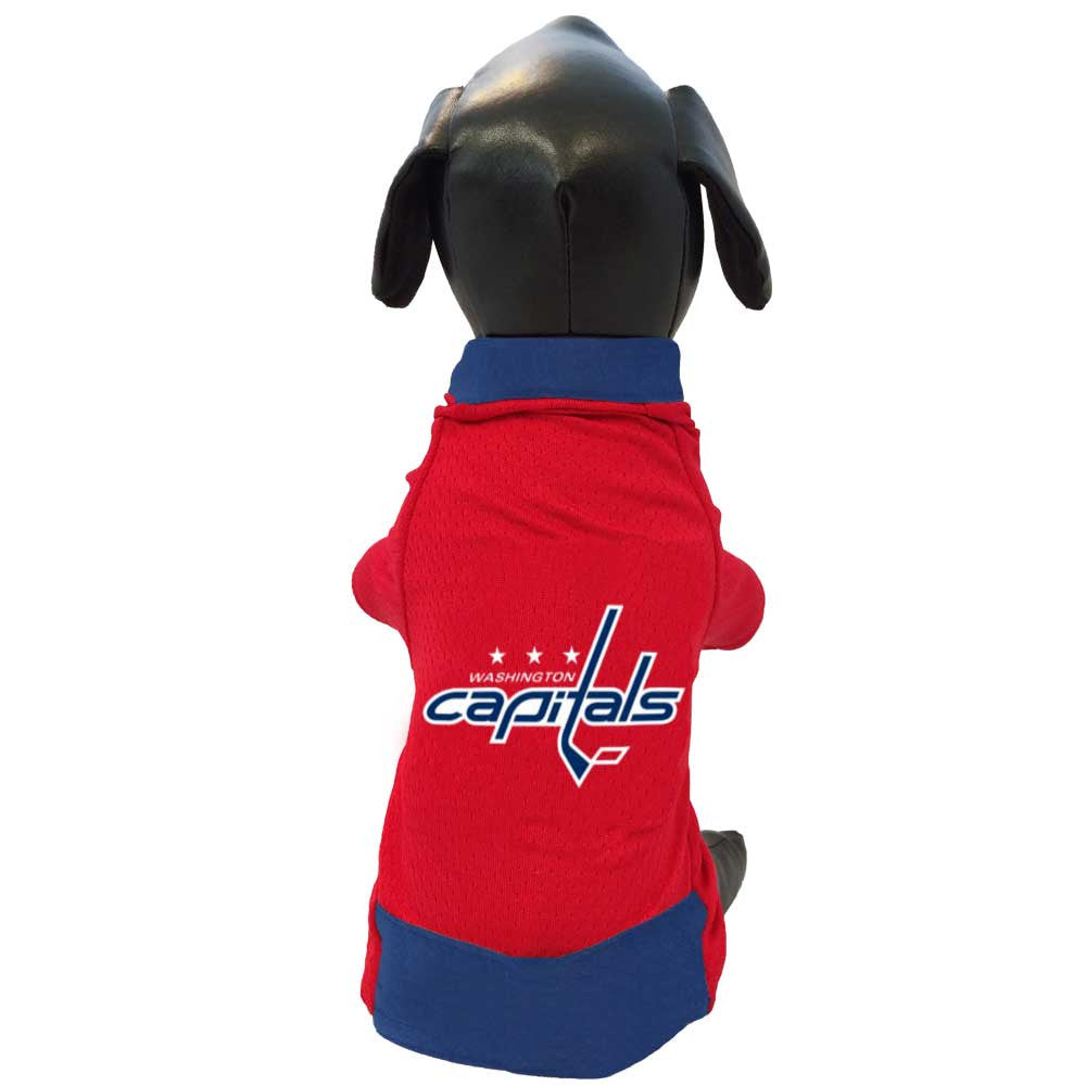 capitals dog jersey