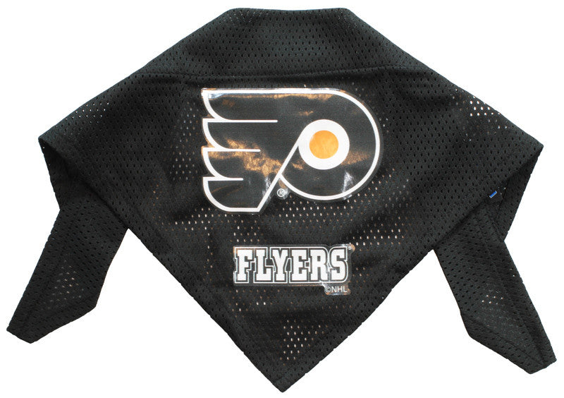 philadelphia flyers dog jersey