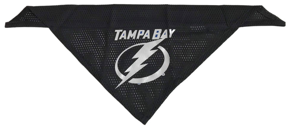 tampa bay lightning dog jersey