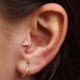 Tragus piercing by Andru