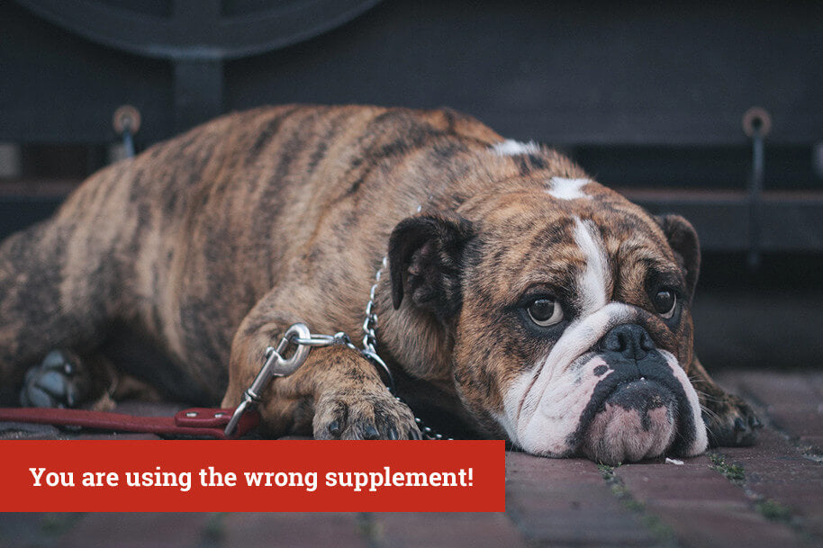 Wrong Supplements