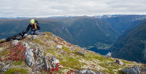 Hiking dog