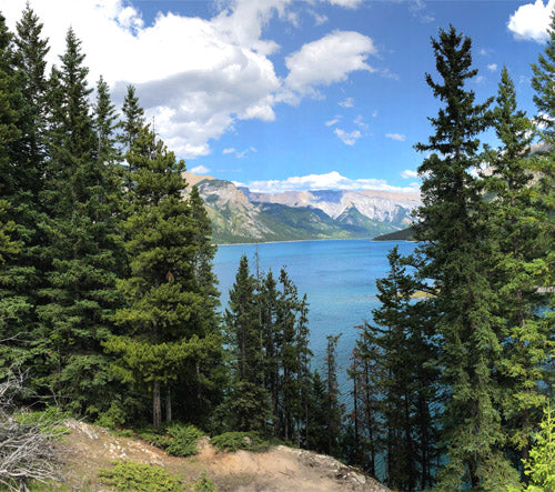 Lake Minnewanka Alberta