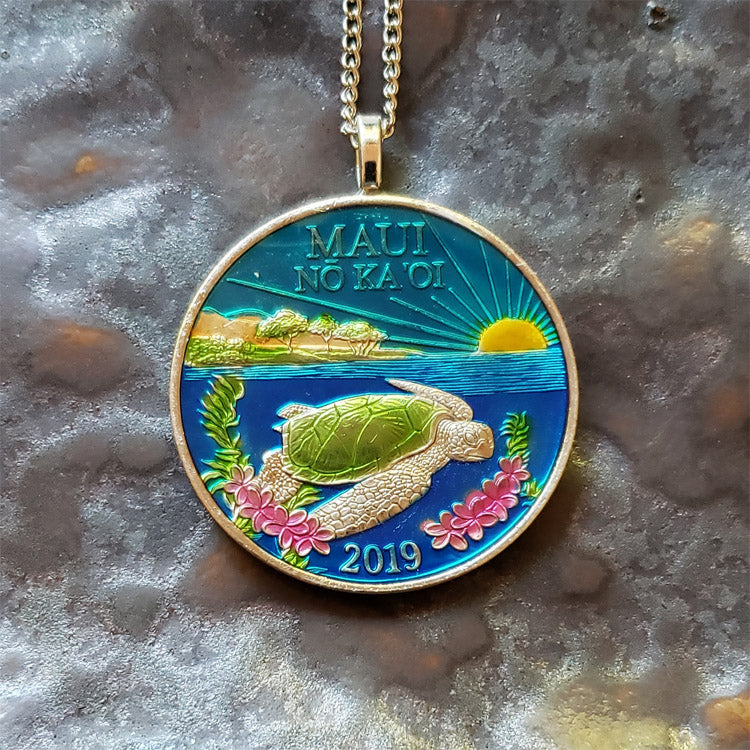 turtle painted coin maui