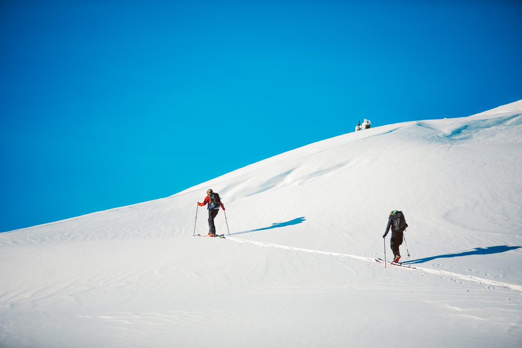 climbing skins 