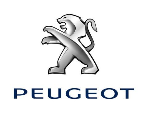 peugeot بيجو-504 504--تيل فرامل امامي