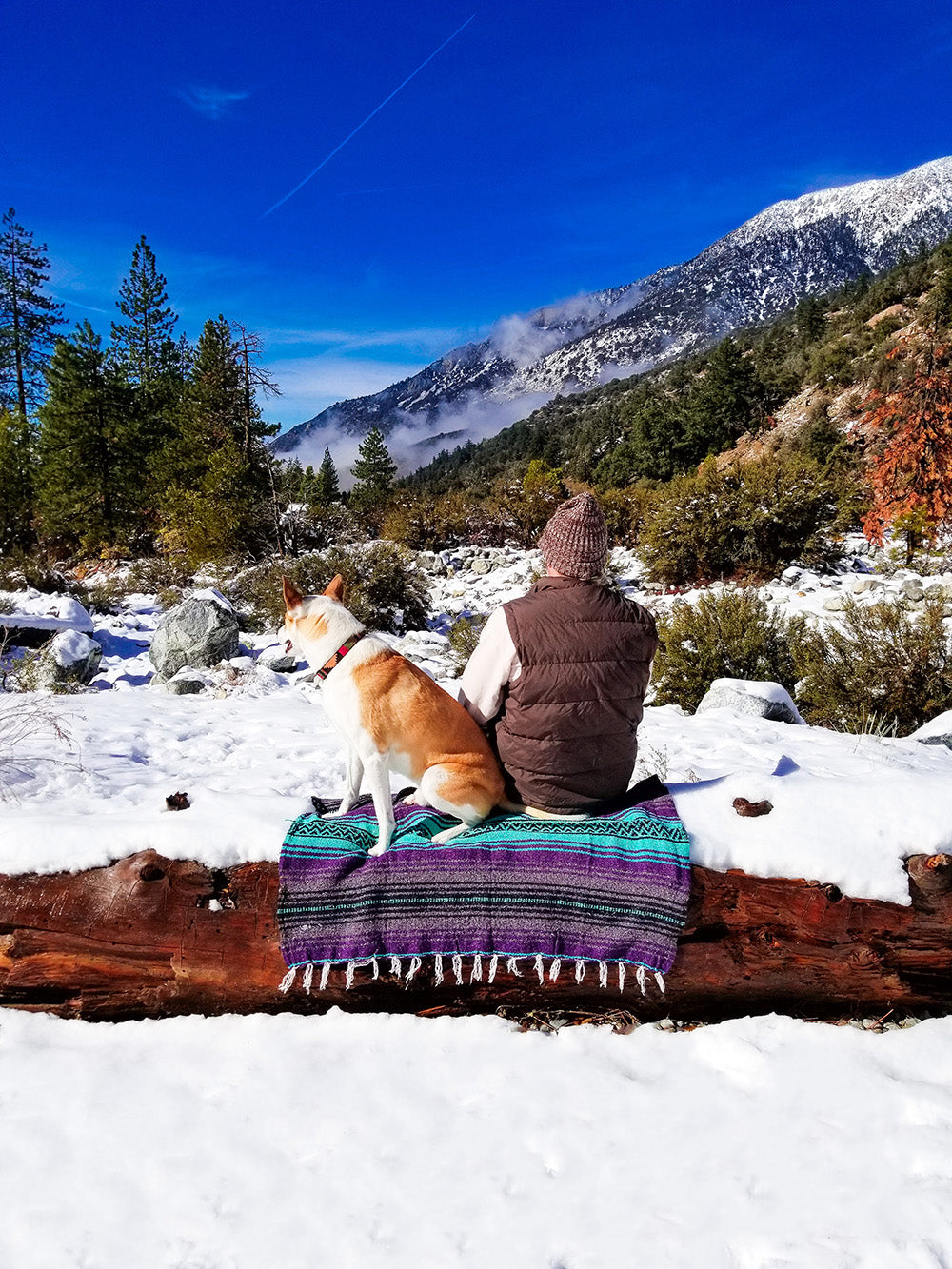 Enjoying a snow day with your best friend. One of life's simple pleasures. via Davis Taylor Trading Co.