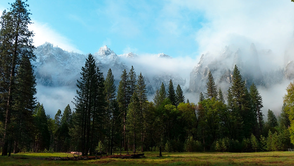 A dusting of snow along the mountain tops in Yosemite via Davis Taylor Trading Co.