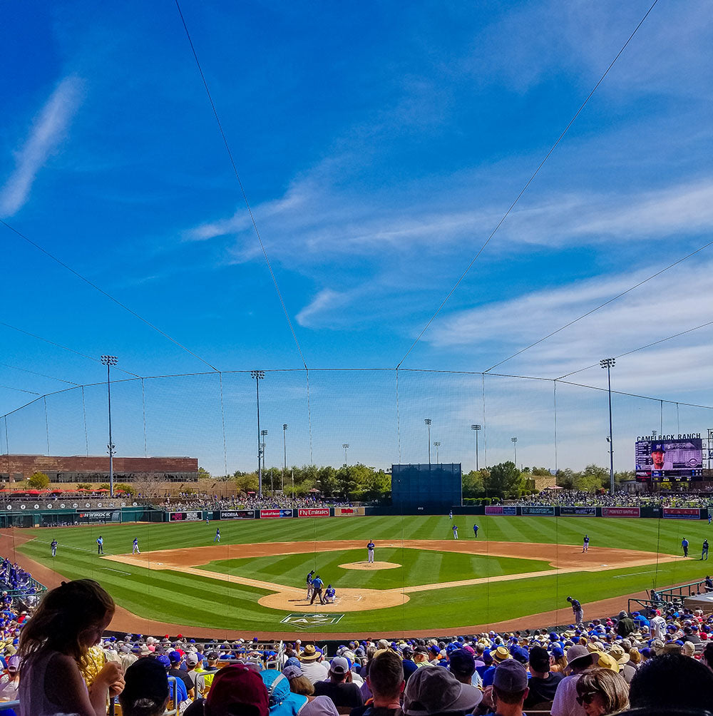 Taking in some Spring Training Baseball during our road trip to Arizona via Davis Taylor Trading Co.