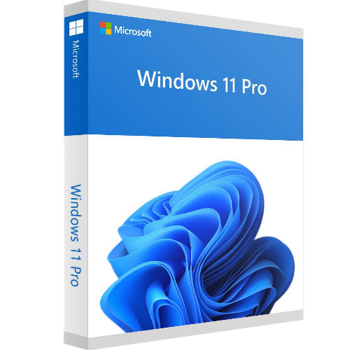 Microsoft Windows 10 Professional (Pro) OEM Key