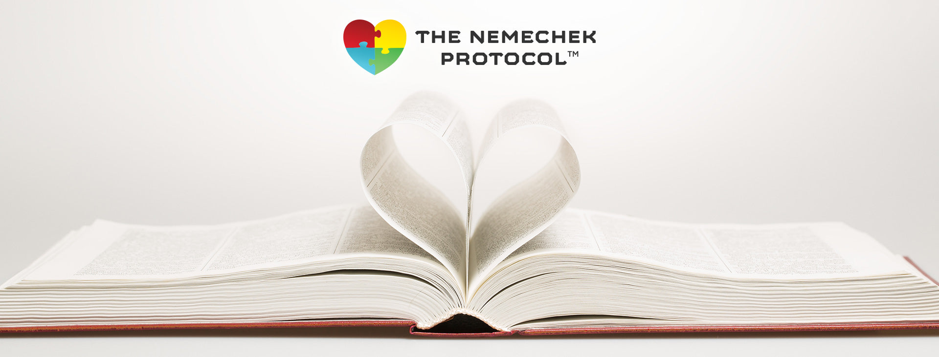 Nemechek Protocol Book Reviews