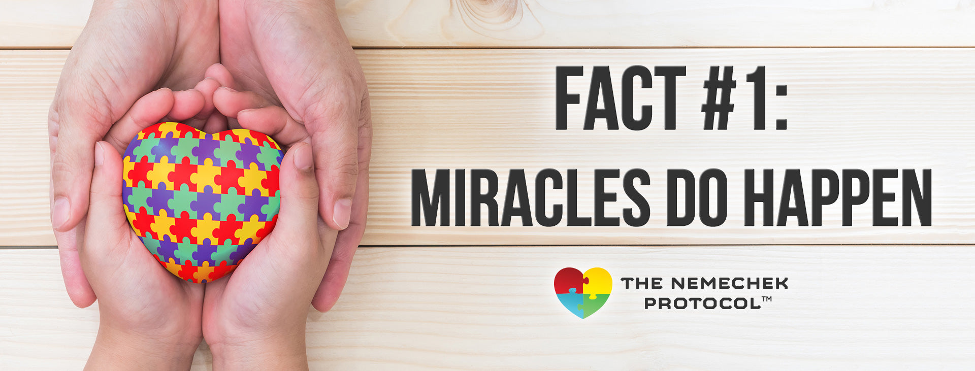 fact #1: miracles do happen - Nemechek Protocol