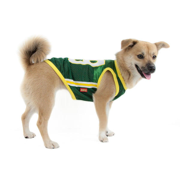 dog basketball jersey