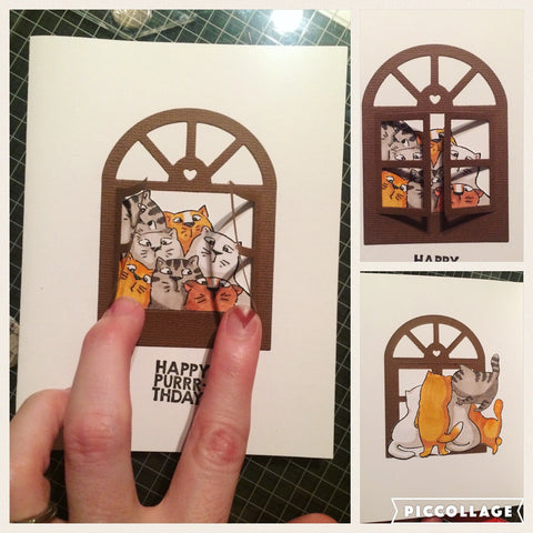 #purrthday #noseynelly #cats #window #artimpressions #thefrolickingfairy #birthday #handmade #handmadecards