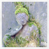 Green moss on buddhist statue in Japanese garden Tokyo