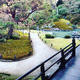 Kyoto winter green garden 
