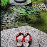 green moss garden Nara