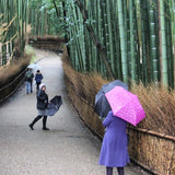 green bamboo forest Arashiyama