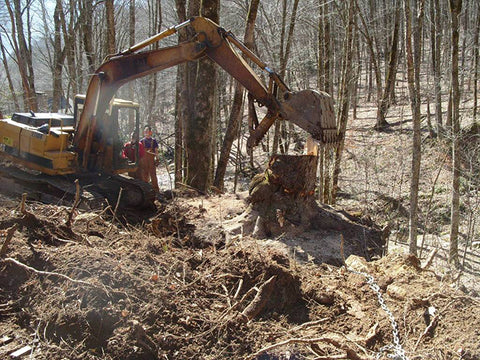 Collecting a Large Burl