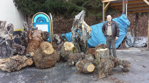 Recent large burls - ready to cut