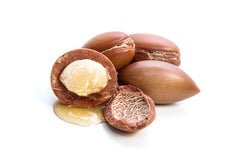 Argan Nuts from which Argan Oil originates