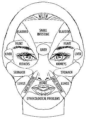 Facial Mapping Diagram