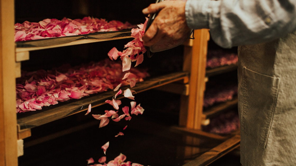 drying damask rose petals