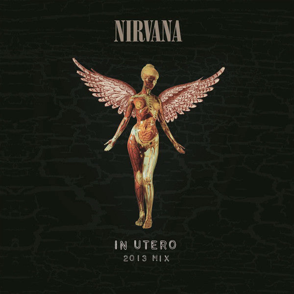 Nirvana - In Utero | SMARTPUNK