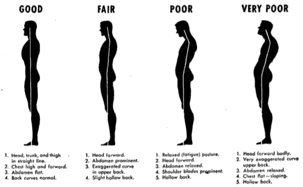 Good posture vs bad posture